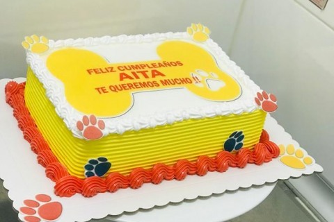 WhatsApp-Image-2023-02-02-at-17.09.13-Copy