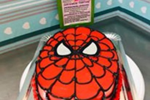 104288939_1530819063790380_618606903940157361_n-Copy